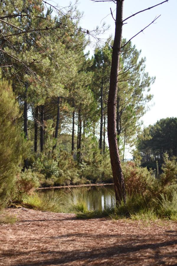 לאקאנו La Cachette Du Lac מראה חיצוני תמונה